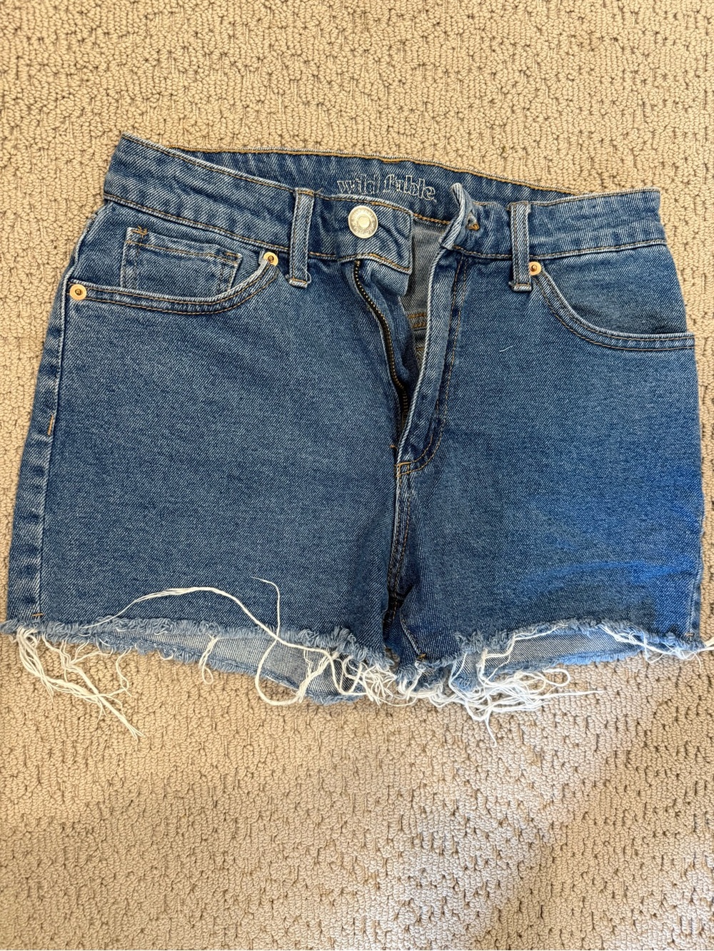 wild fable Blue Denim Frayed Hem Shorts